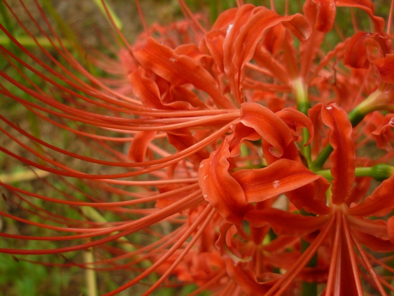 生肖▲7月份，姻缘再起，前任回撩余情难了，将再次接受对方的四大生肖