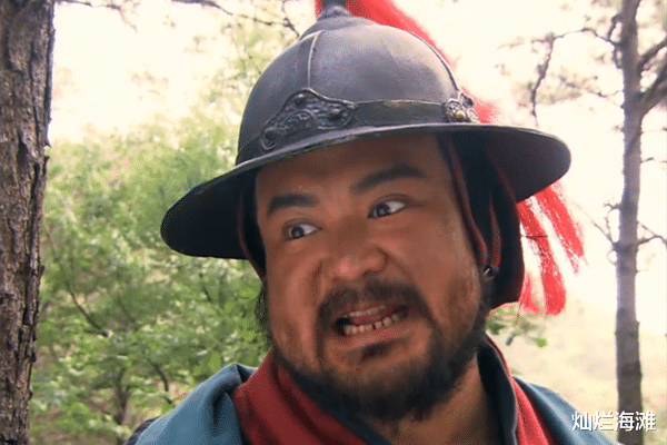 [岳家军]此人是双枪将董平之子，打完金军战宋军，加入岳家军后下落不明