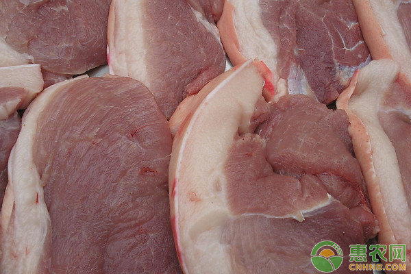 今日豬肉價格多少錢一斤？2020年8月7日全國豬肉價格最新行情-圖3