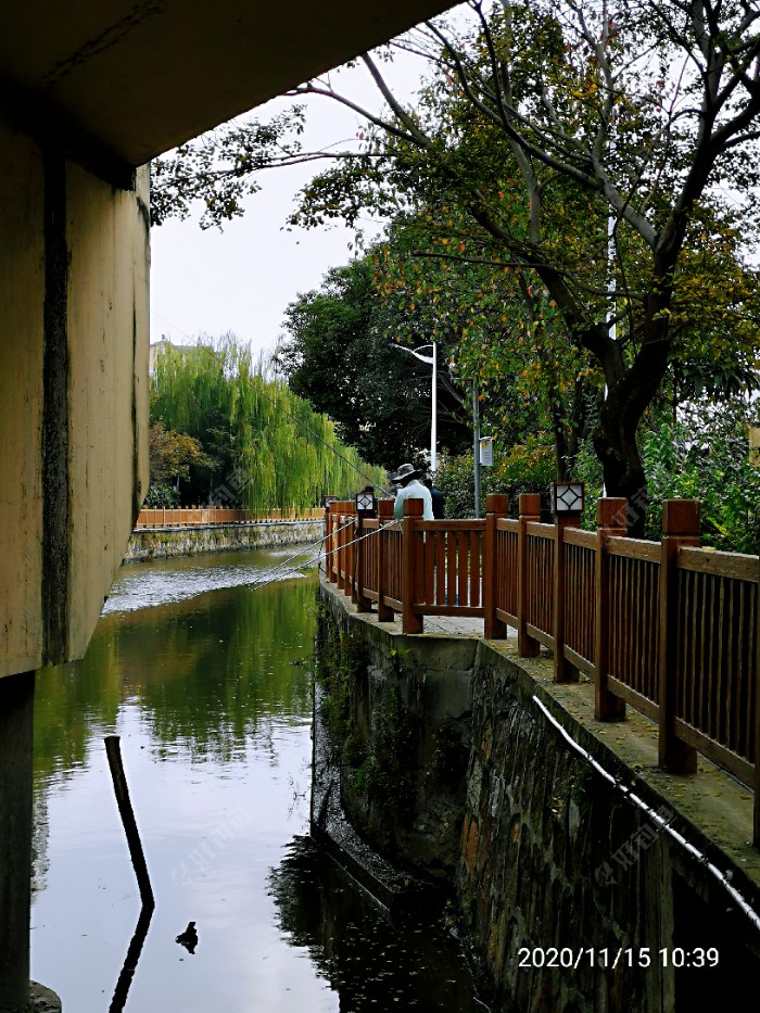 |夜晚手竿钓 小鱼闹死了