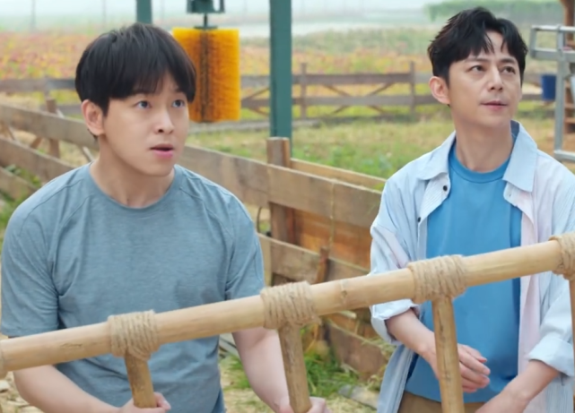 #张子枫#向往的生活:张子枫搬梯子,让彭昱畅摘椰子,看到结果妹妹愣住了