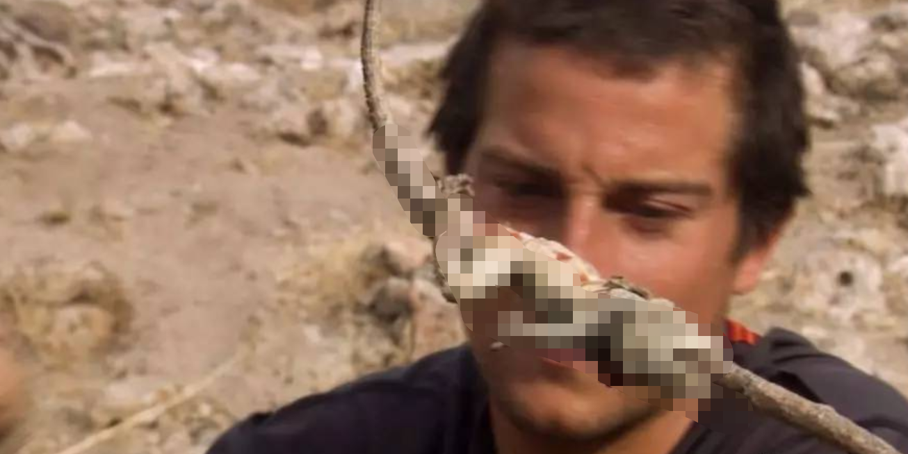 肿瘤|当年爆红“站在食物链顶端”的贝爷，为何突然不见了？