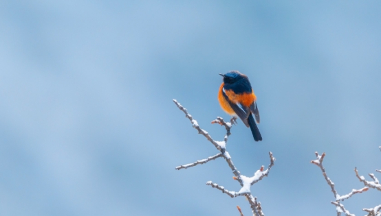 周边游|我国又一景点关闭,只因当地垃圾堆满地,驴友表示:让我进去清理