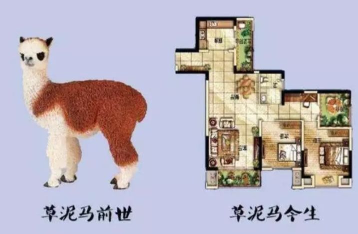 《爱情公寓5》里的胡一菲买的“跑道”房，原型更夸张