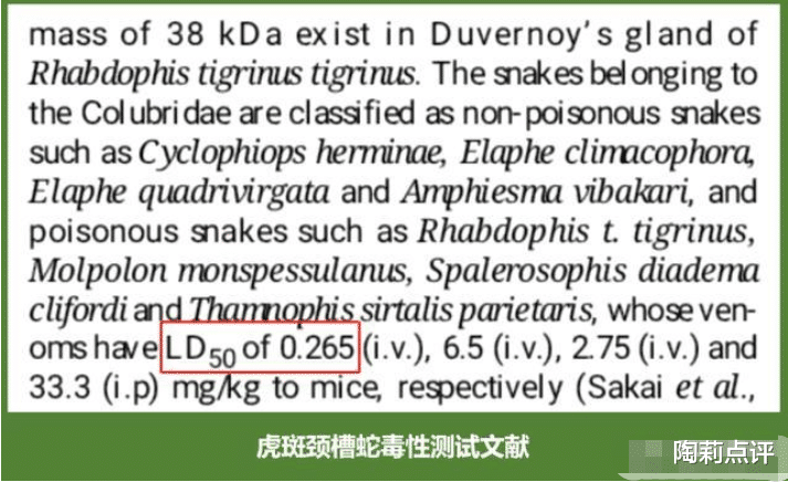 毒蛇|毒性堪比“五步蛇”却被说是无毒蛇？常见的奇特毒蛇：虎斑颈槽蛇