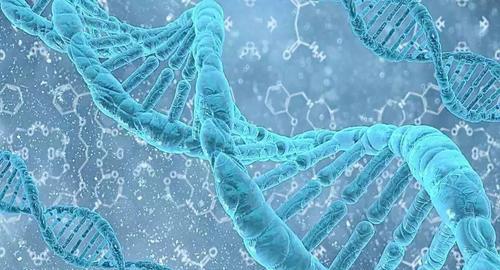 「科学家」科学家发现：所有人类都是20万年前一对夫妇的后代