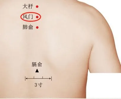 运动|“寒风起，百病始”。护好，身上自带的挡风墙！
