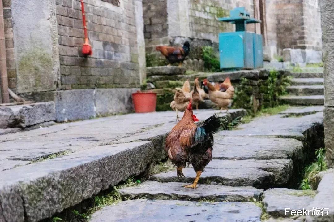 郴州|新挖出来的“国内小瑞士”，再不去就彻底火了