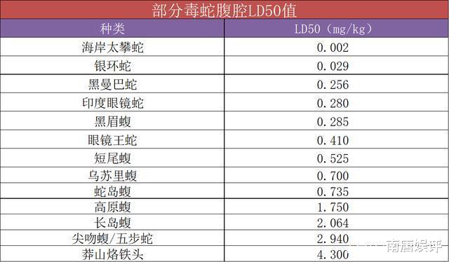 眼镜王蛇|中国特有的莽山烙铁头蛇,真的有比肩眼镜王蛇的体型和毒性吗?