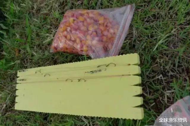 「鲤鱼」天热后,这2个“降服”大鲤鱼的方法,简单又实用