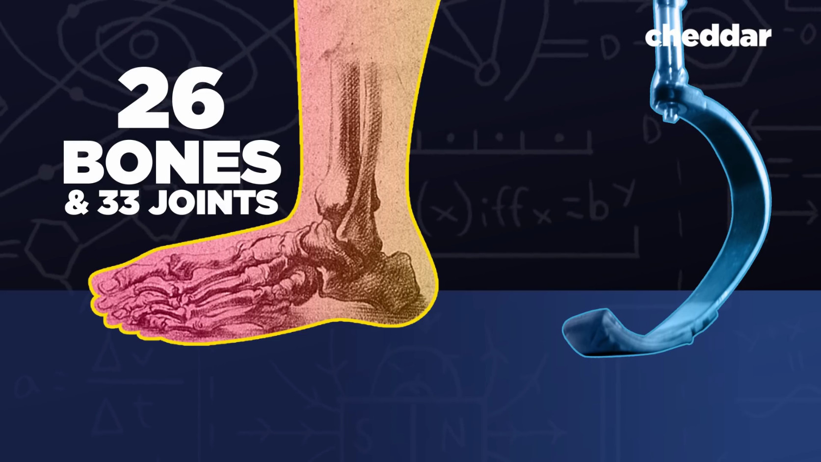 |从刀锋战士健步如飞看，人类的脚是进化上的一个败笔