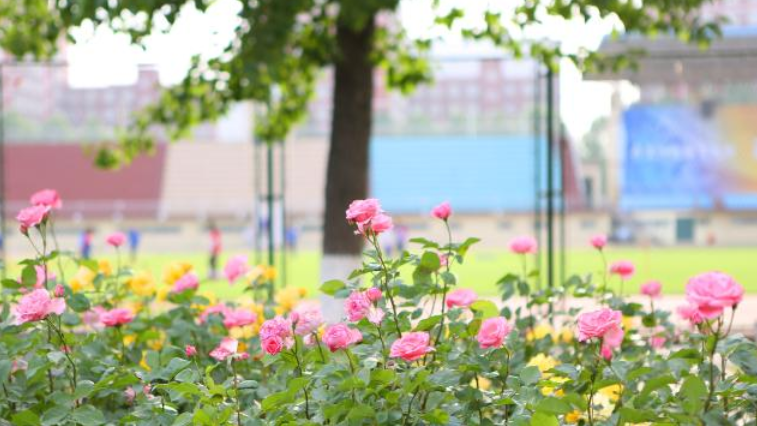 心理学|这5个就业最惨的本科专业，一录取就后悔，你报了没？