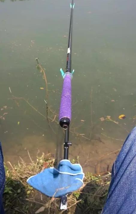 【】钓鱼抽白条也有技巧