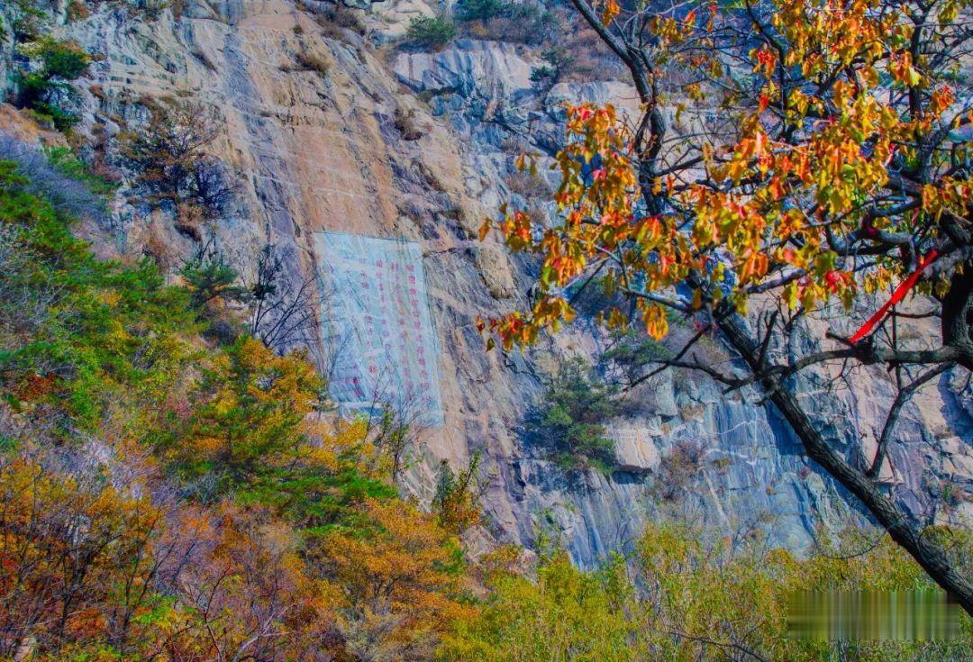 |有此美景 何必远行