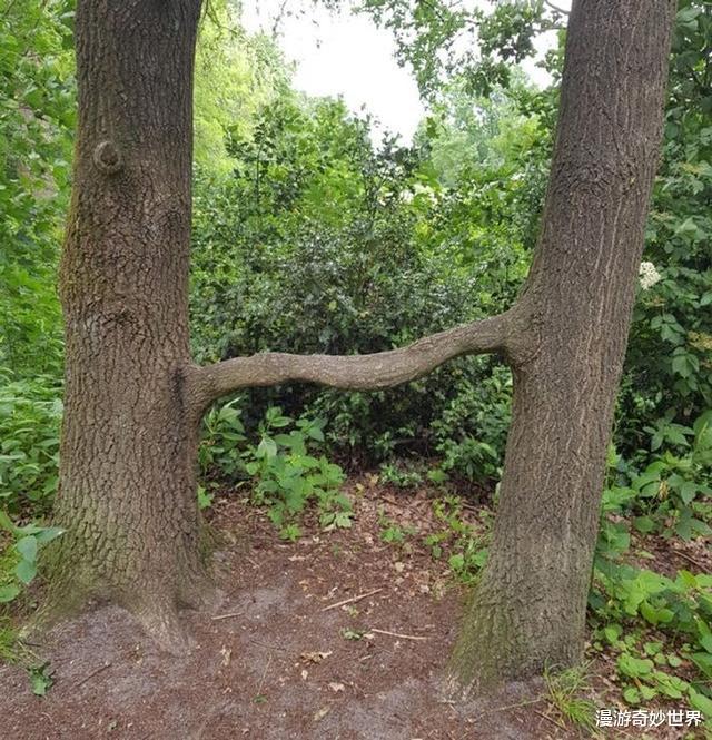 火山|28张难以置信的照片，大自然真是无所不能啊！