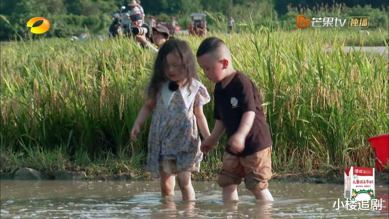 二胎|素人版《爸爸去哪儿》为何火爆全网？二胎妈妈一句话戳中泪点