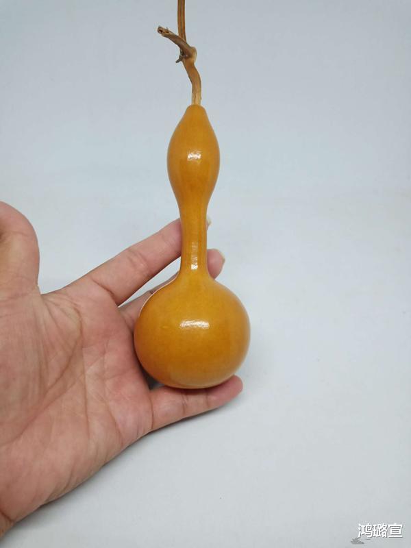 [文玩]文玩葫芦“难盘”？不要开玩笑了，难盘是因为玩家真的不会盘