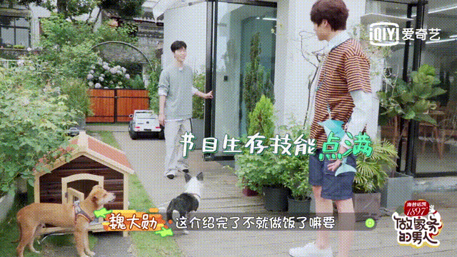 杨迪|这对夫妇首登综艺就狂撒狗粮，啧啧啧……