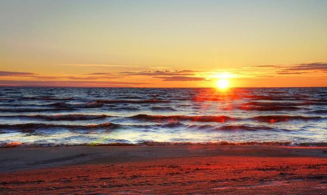 @吃蚂蚁“上瘾”地方，一口一个嘎嘣脆，网友：但凡有粒花生米也好