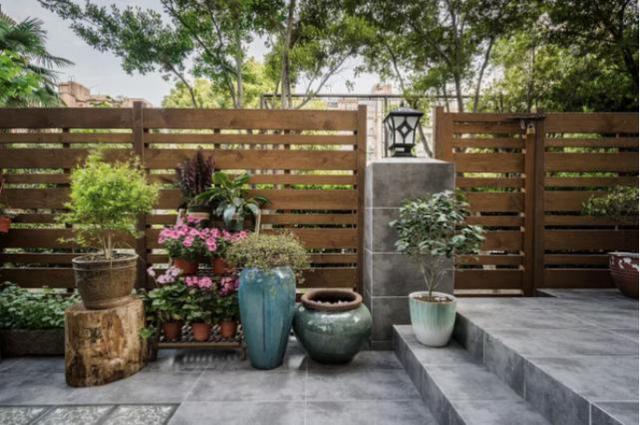 |老了,买了套有院的房种植花草,为的是时间可以慢下来!