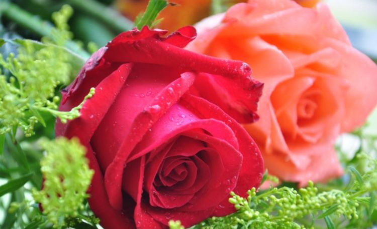 【生肖】让男人心痒痒的三生肖女，内外兼修气质佳，越看越迷人