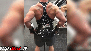 |一张图告诉你，地表最强背部圣诞树有多酷！！