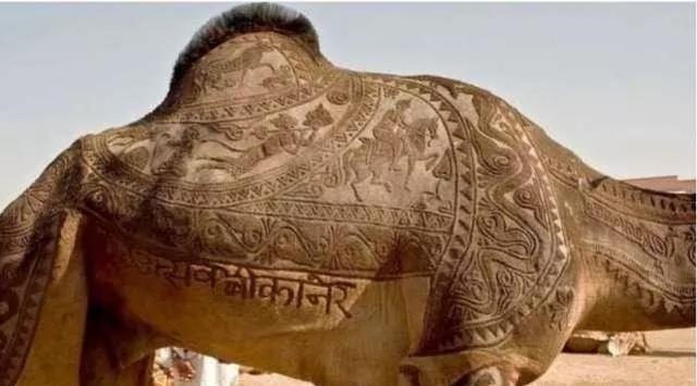 |一组不可思议的照片,证明你对这个世界一无所知