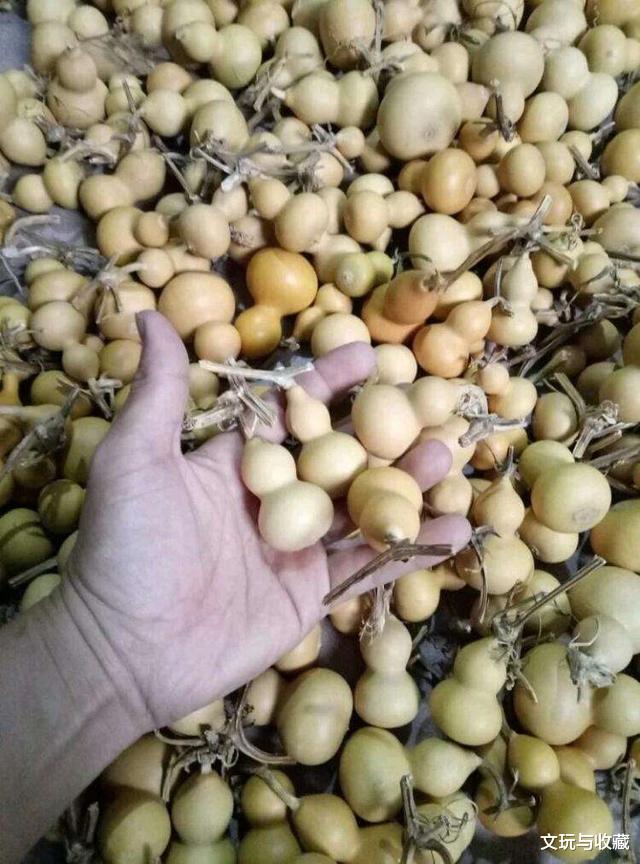 葫芦■文玩市场葫芦镶嵌紫檀的手串是这样做出来的，想不想DIY一个？