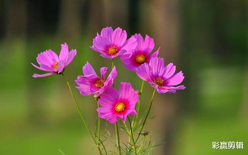 旧爱|10月能顺利转运，一顺到底，事业更是升职加薪的三个生肖