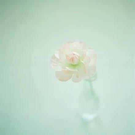 射手座|与这3个星座久处不厌，甚至更喜欢，宛如春风拂面