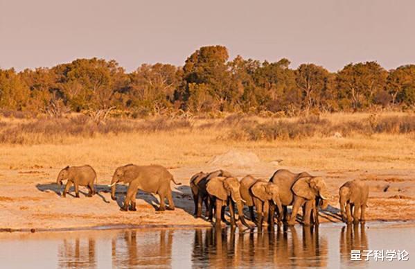 『基因』从进化来说，动物交配时间长有优势？还是短有优势？