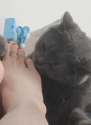 大众汽车|“钓鱼被咬了一口，谁知道这是什么咬的？”哈哈哈哈评论区却炸锅了！