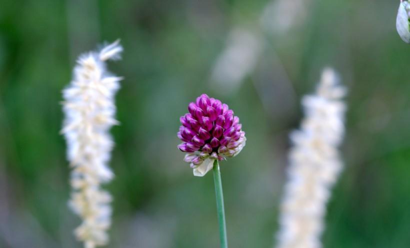 生肖|9月开始，四生肖好运一个接一个，八方来财，喜气不断