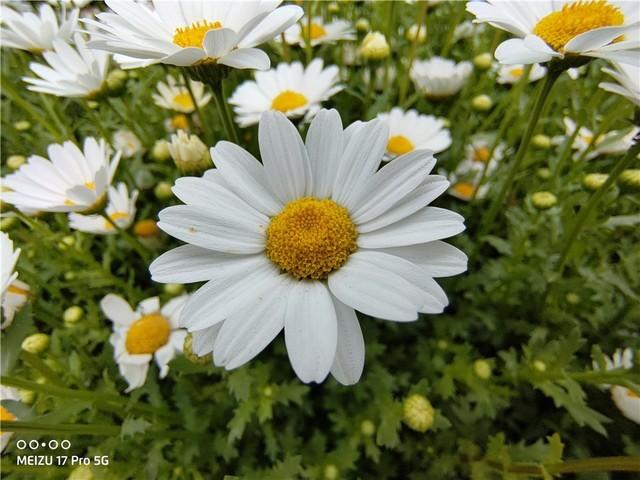 『丰巢』后发而先至的17周年献礼：魅族17 Pro全面评测