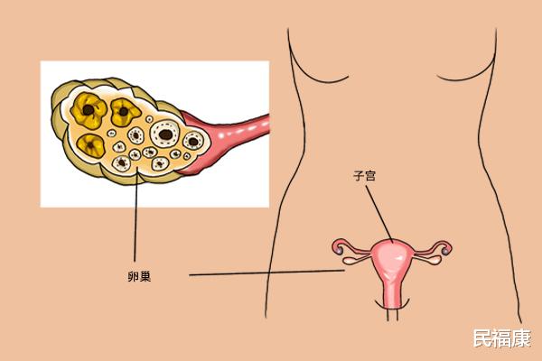 绝经|女性多少岁绝经？绝经后，身体会发生哪些好变化？哪些坏变化？