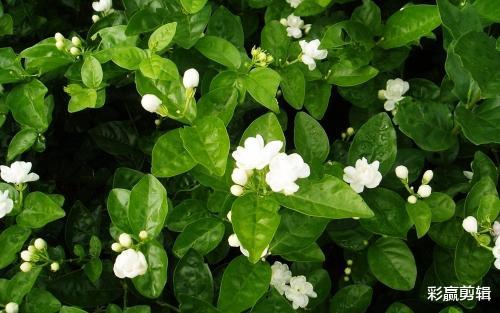 天秤座|10月份前缘未尽，分手终会复合，能再一次牵手的三个星座