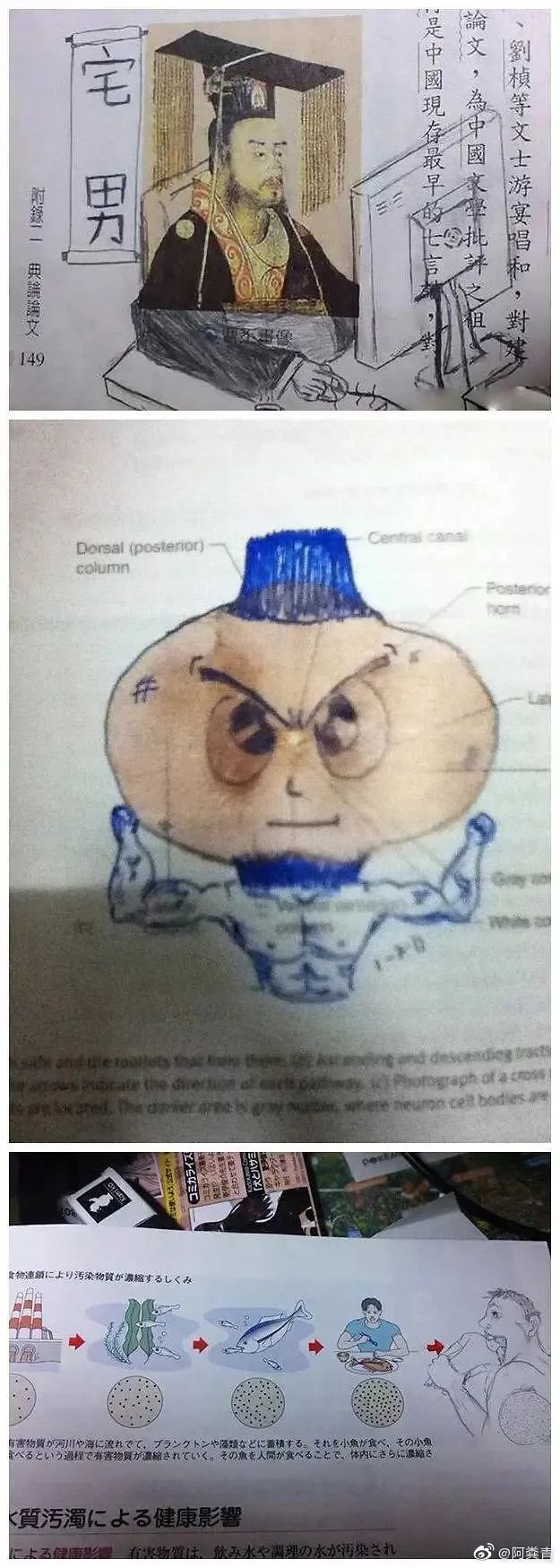 |“学生时代涂鸦过的课本！”原来全世界的学生都一样无聊…