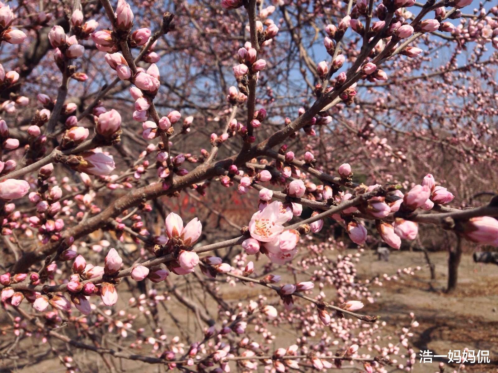 生肖@6月20号,贵人辅佐,4生肖运势超顺,事业大旺,数钱数到手抽筋