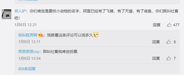 『钉钉』阿里“钉钉”要改名？网友脱口而出的名字，直接击中灵魂了