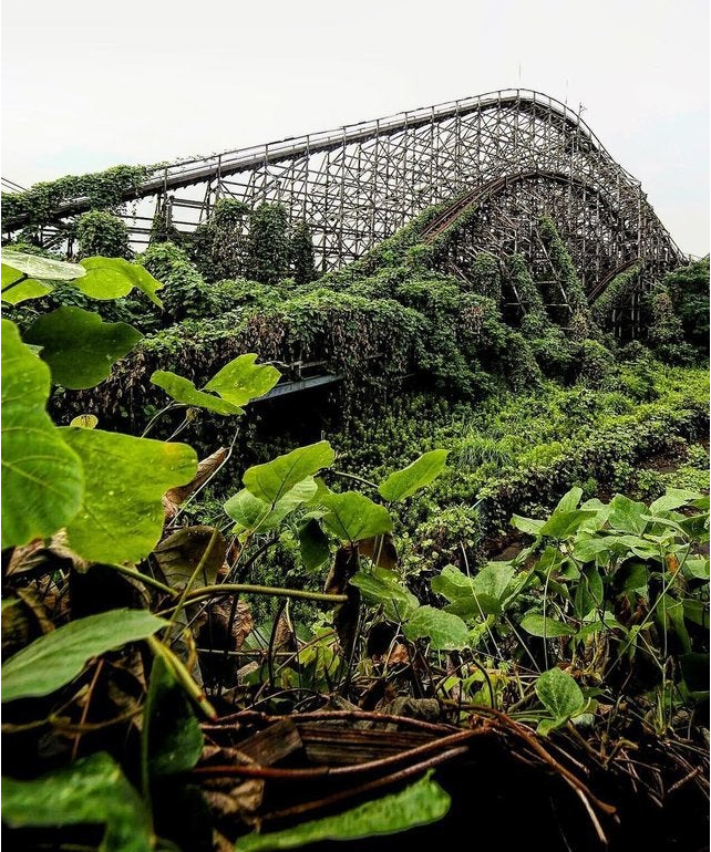 |那些被人类遗忘的角落，最终被大自然无情反噬