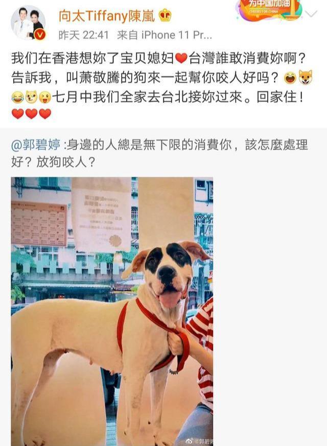 [郭碧婷]自曝被“无限吸血”，与向佐结婚253天的郭碧婷，又曝新情况