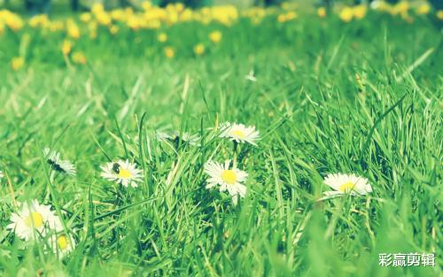 天蝎座|10月爱情降临身边，能够顺利脱单，牵手幸福的三个生肖