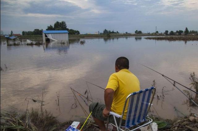 |秋天狂拔草鱼，我就只服这3招，简单又实用---皇禾钓具