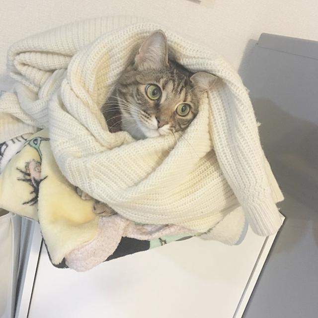 |自律生活有多爽？这对日本90后小夫妻家里，有太多可学习的地方