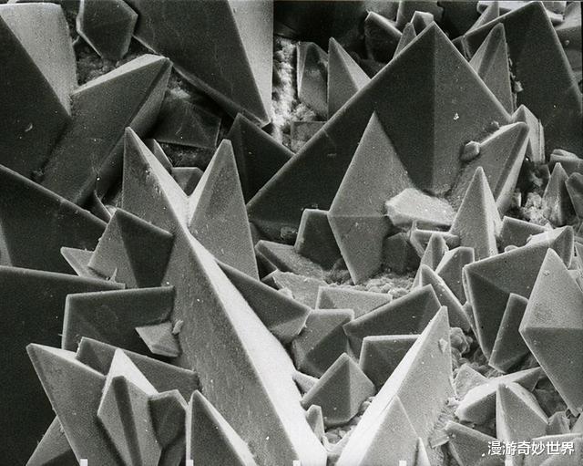 |活久见的25张图，让你眼界打开！