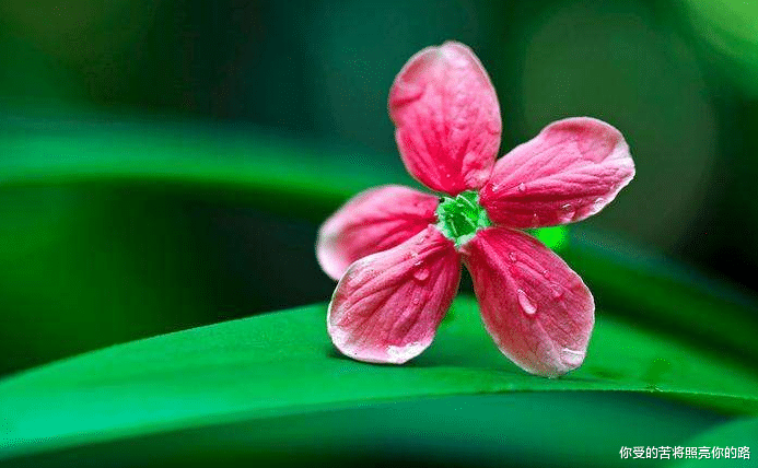 生肖|7月横财如雨,3大属相顺势翻身,得贵人扶持,苦难熬出头