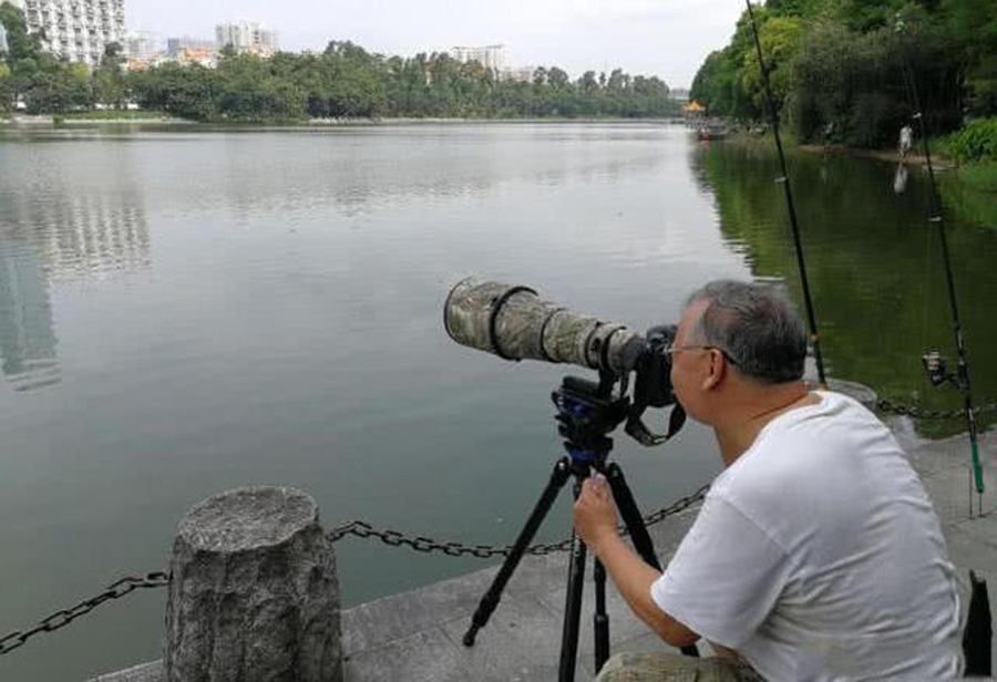 饵料|新手想学钓鱼,听听老钓鱼人总结的五条野钓经验,少走弯路