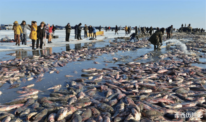 『西藏』中国“最美的湖泊”，里面藏着8亿公斤的鱼，却无人敢去打捞