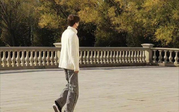 明星大侦探|《明星大侦探》6开拍！首发阵容有小白，双北组合撒撒或缺席？