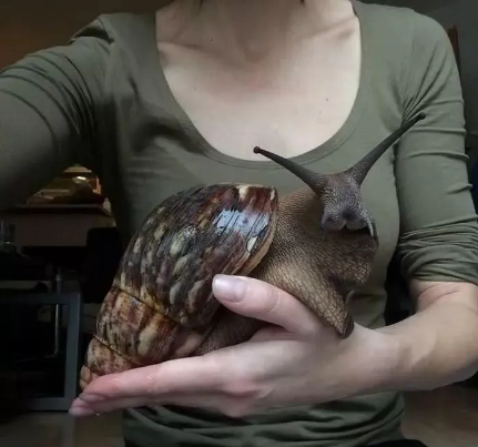 |30个你想象不到的庞然“大”物，又涨姿势了！